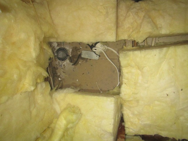 downlight4_greenop_rosanna.jpg